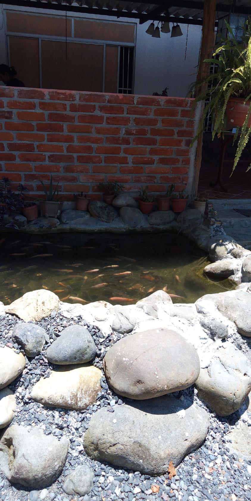 El Portón Del Río
