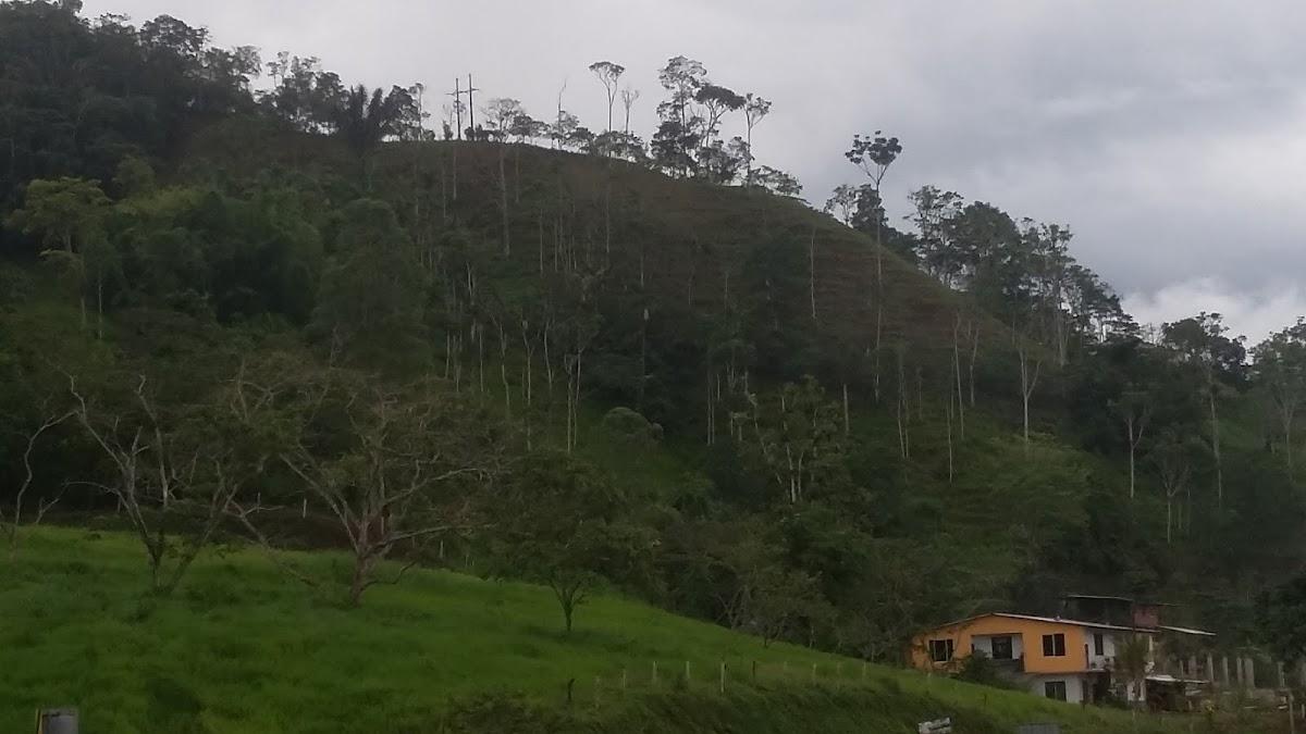 Borregos coffe