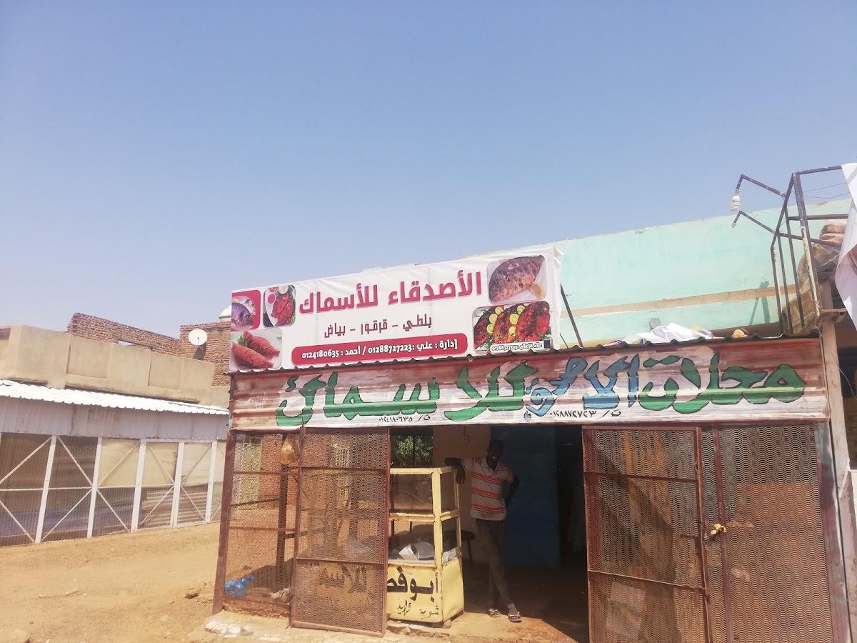 الاصدقاء للاسماك