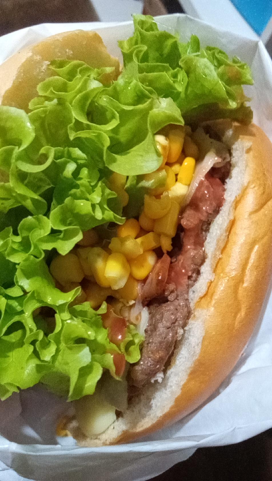 Bidu lanches em frutal... aceitamos cartão...pix