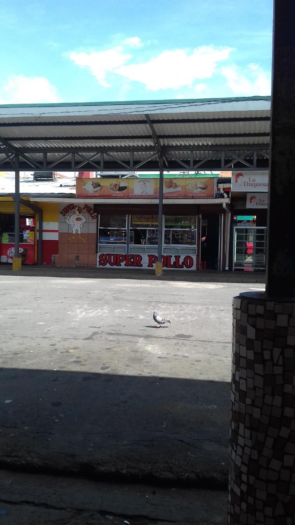 Super Pollo