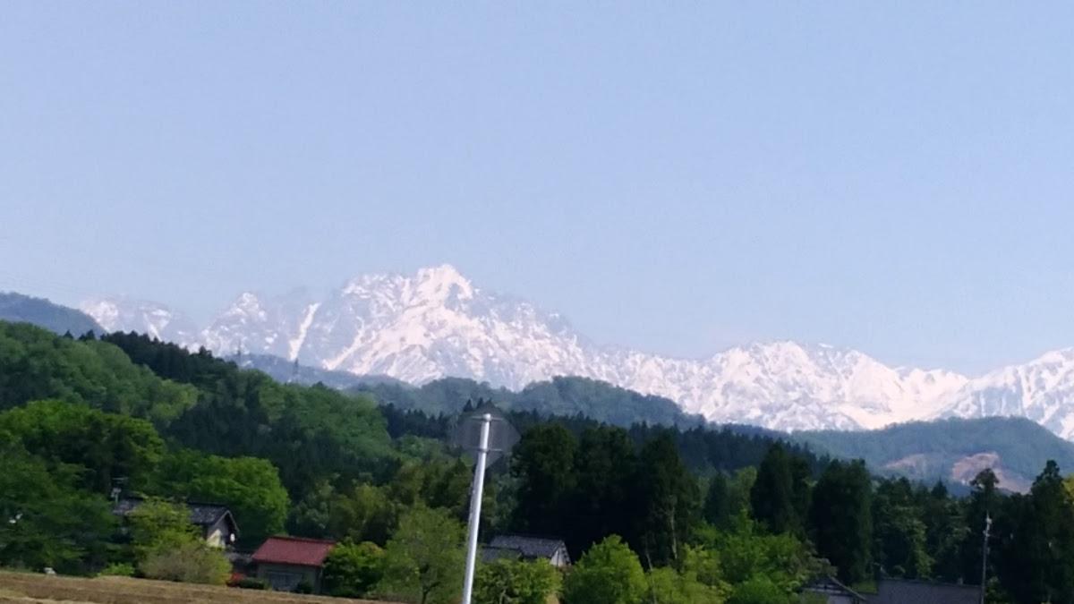 大鷹
