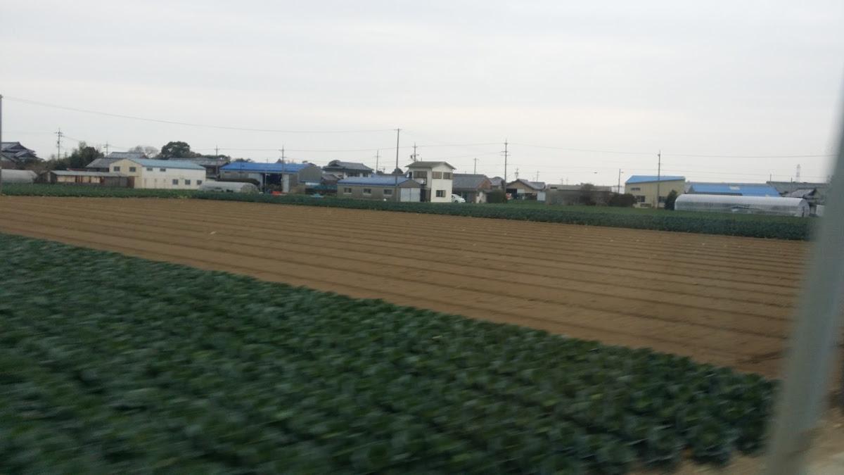 りぴいと