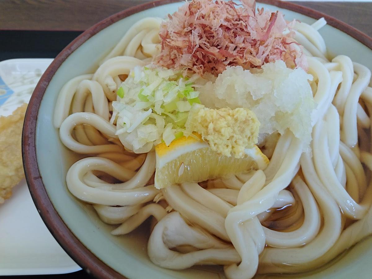 松の木