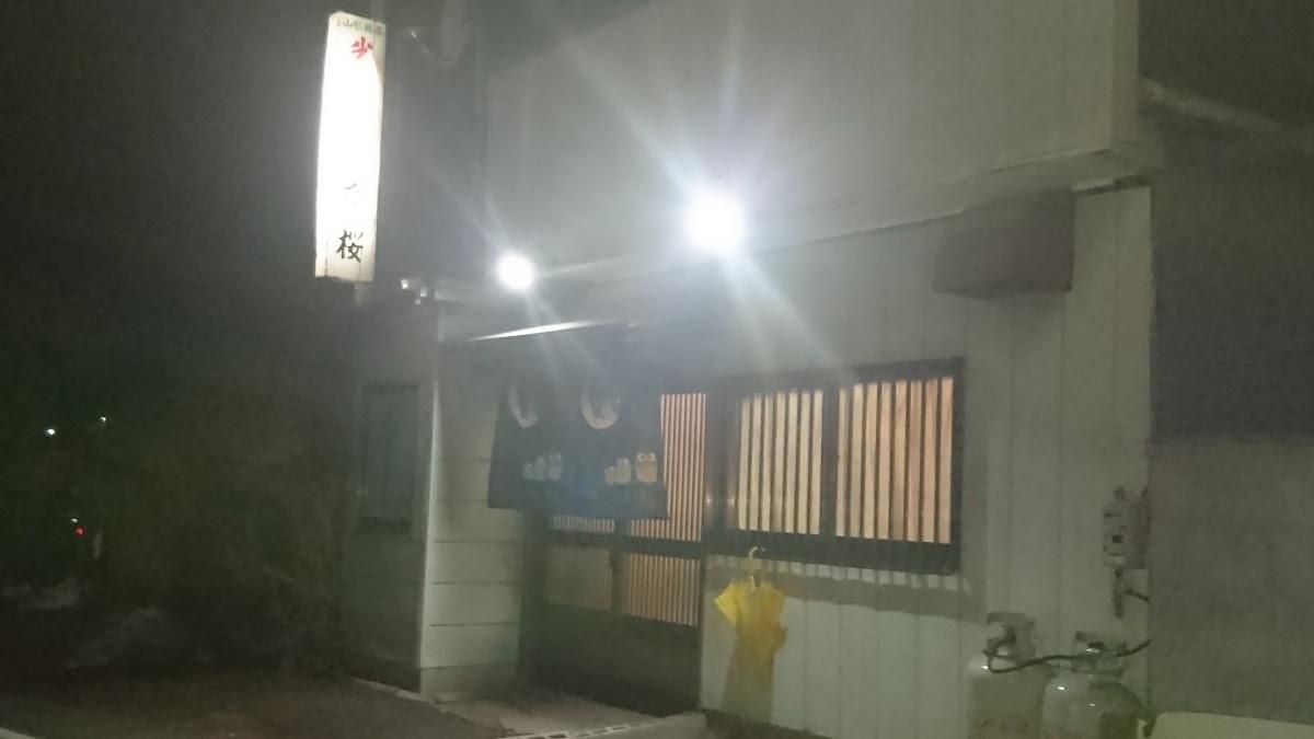 夜桜