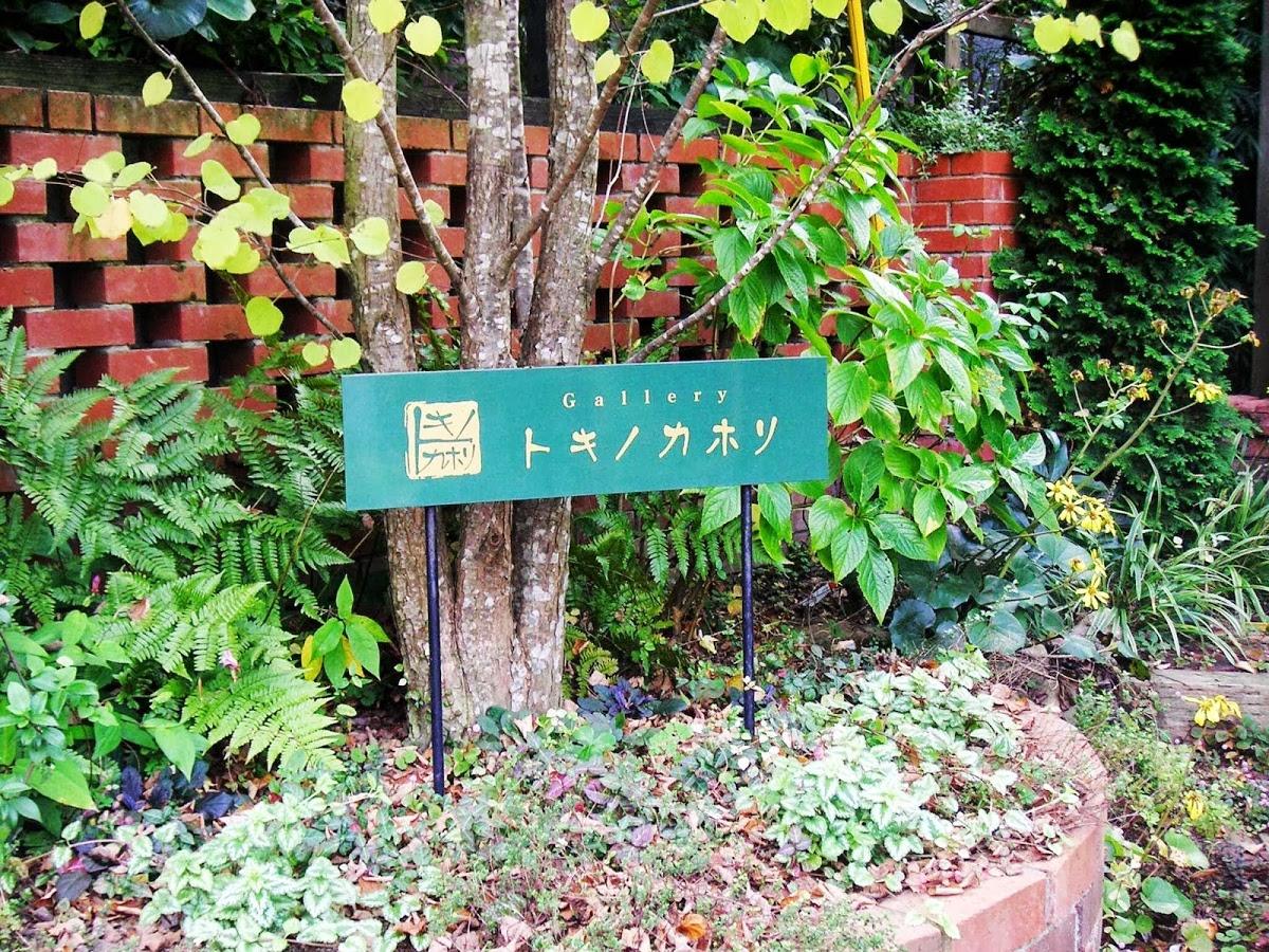 トキノカホリ