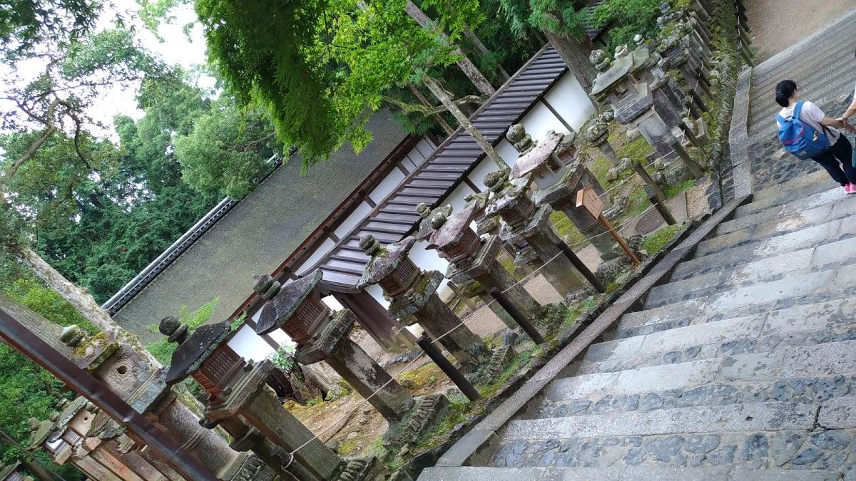 ニューさつき