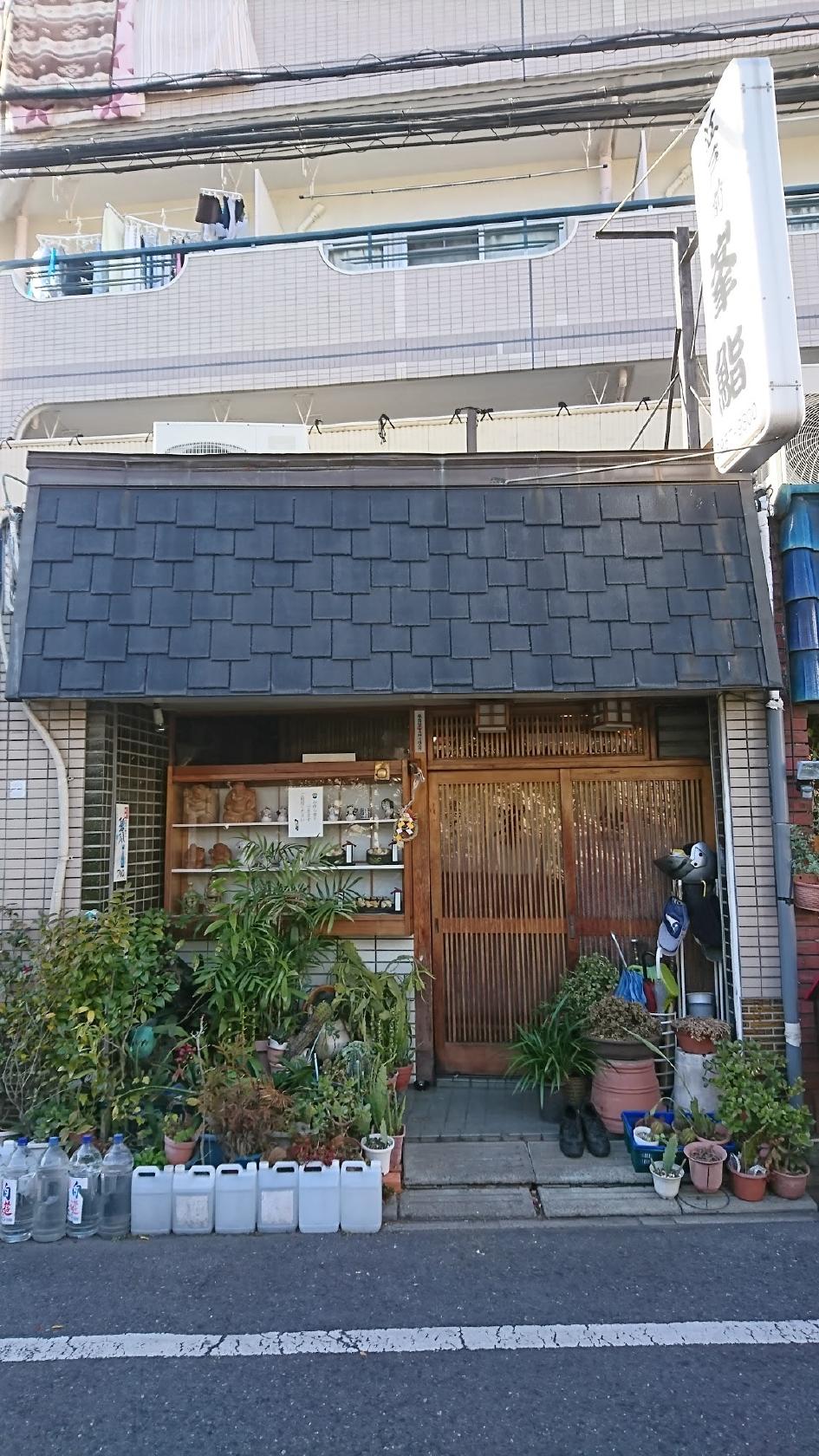 峯鮨