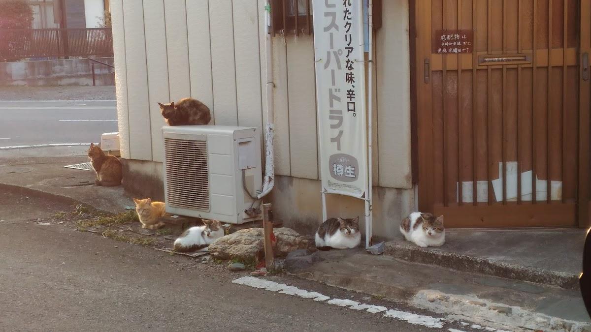焼鳥みち庭