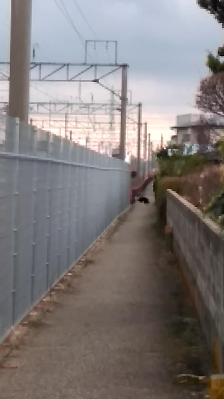 やきとり朋