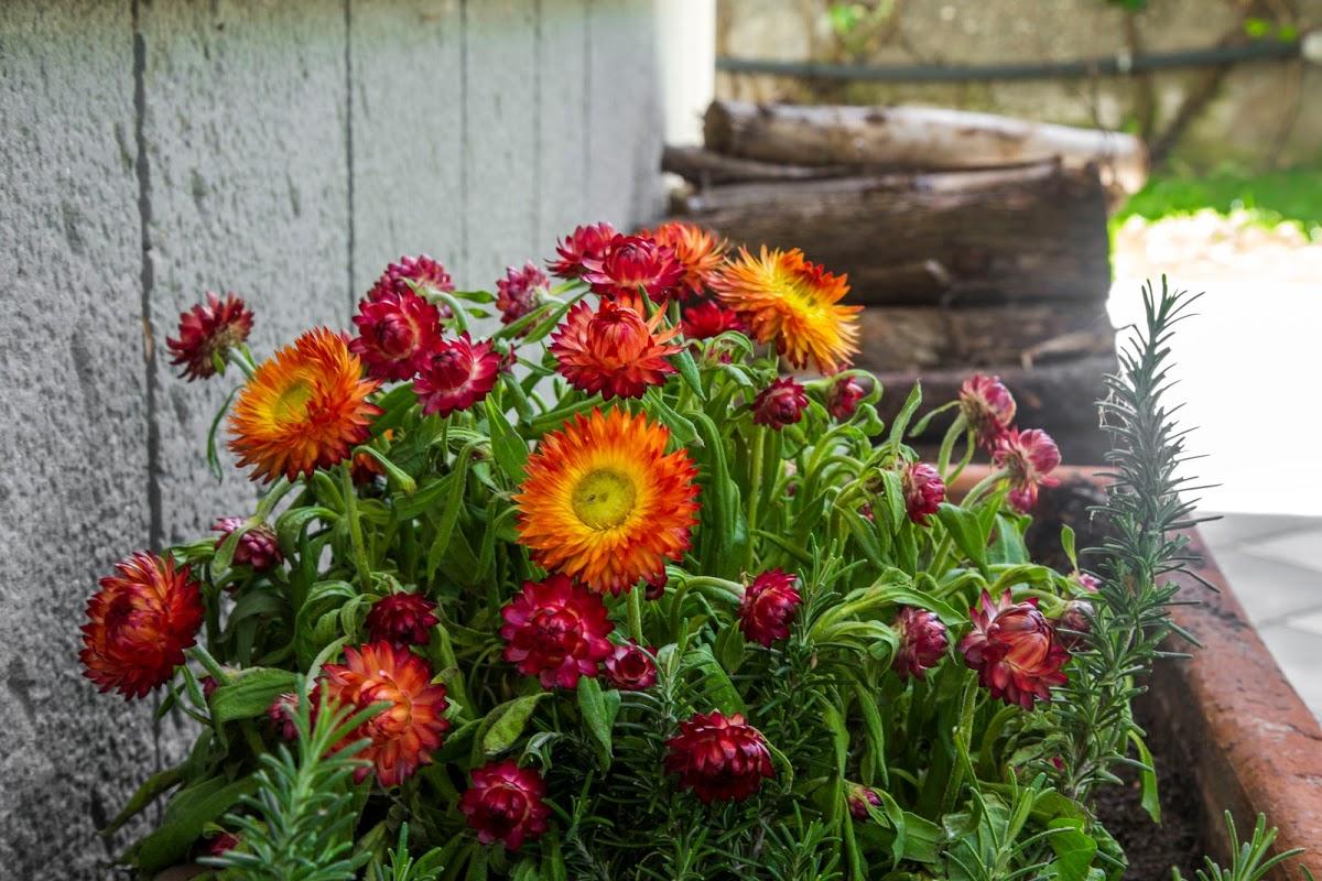 Villa Laura - Antico borgo di Sicilia