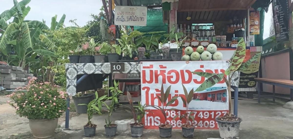 Not & Nava ฟองนม