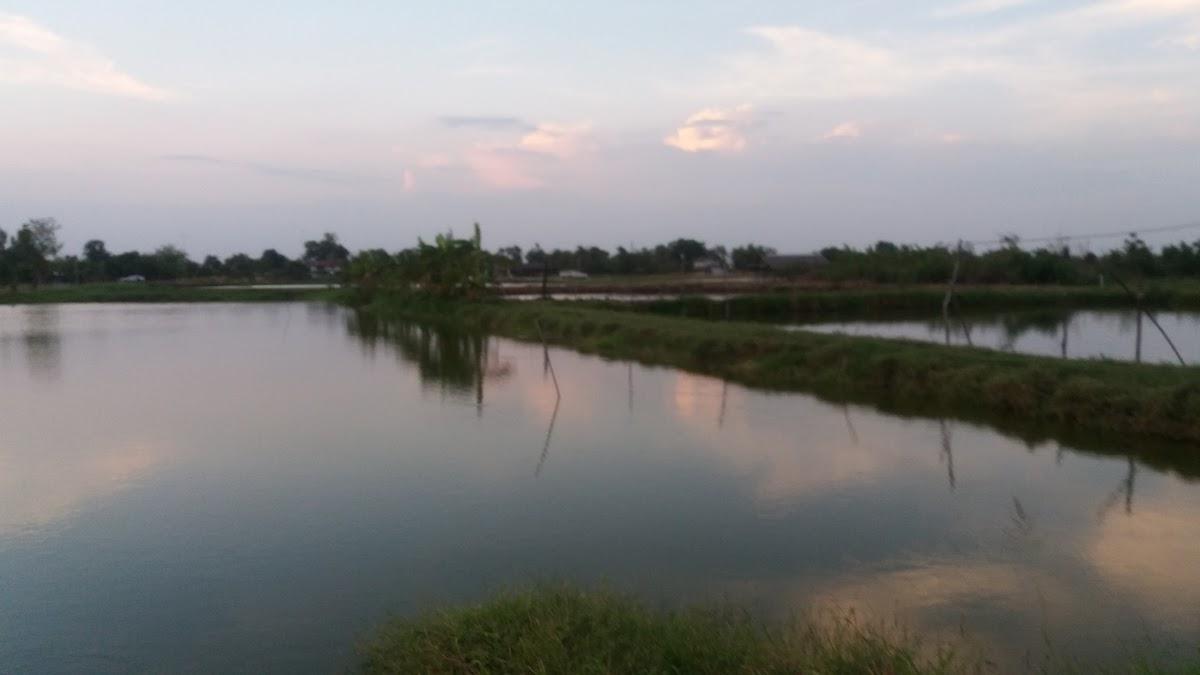 วัดบา