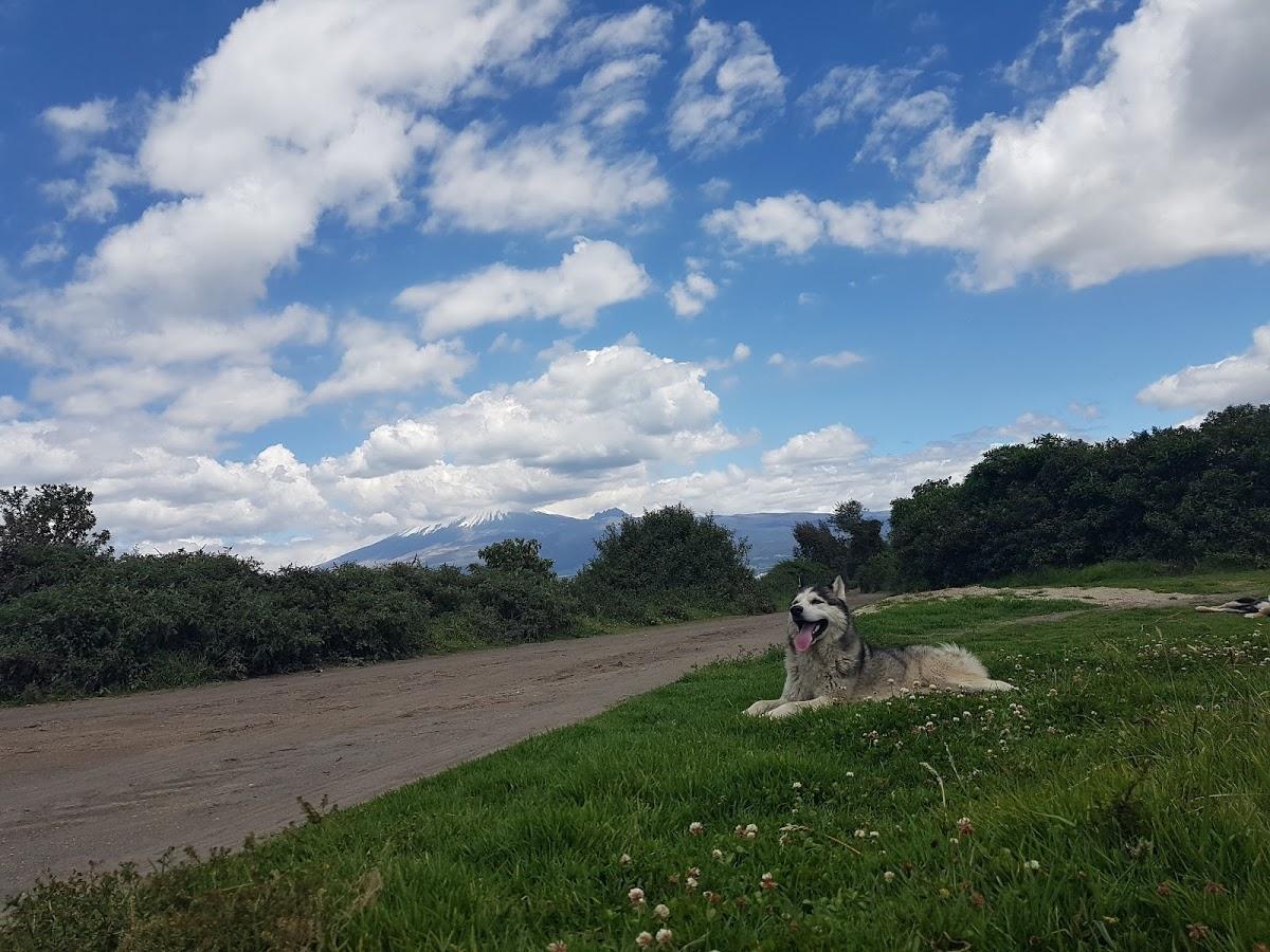 San Juan de Pastocalle