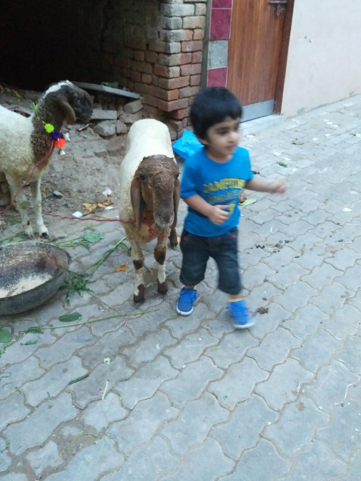 Hafiz Ji Restaurant & Bar BQ