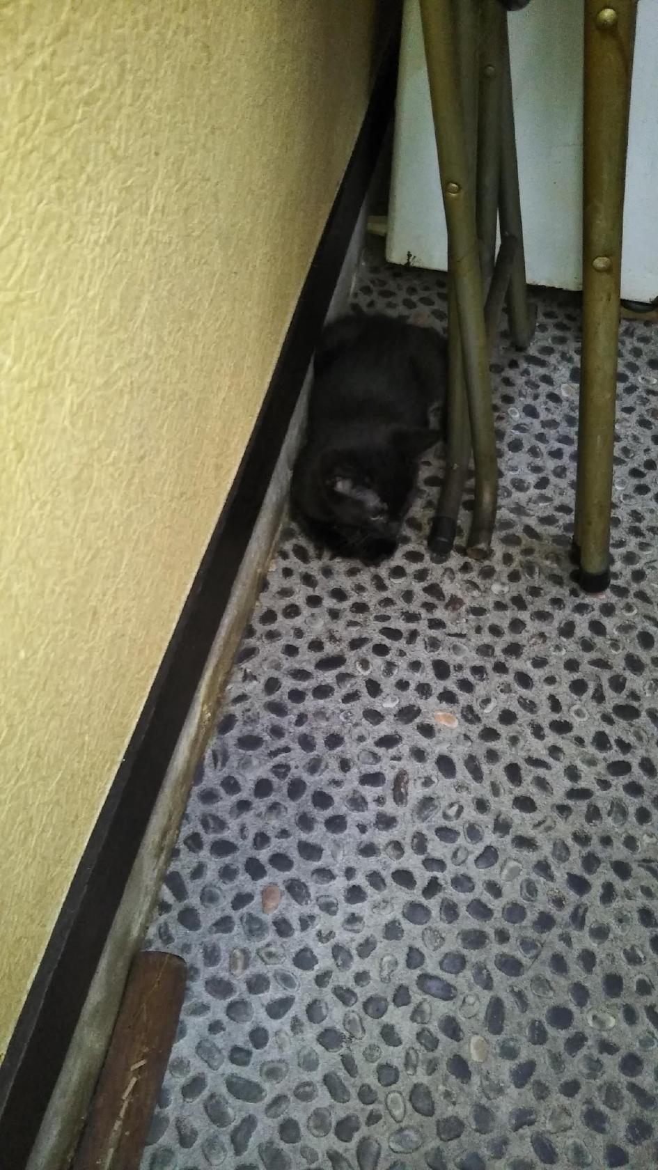 津軽茶屋