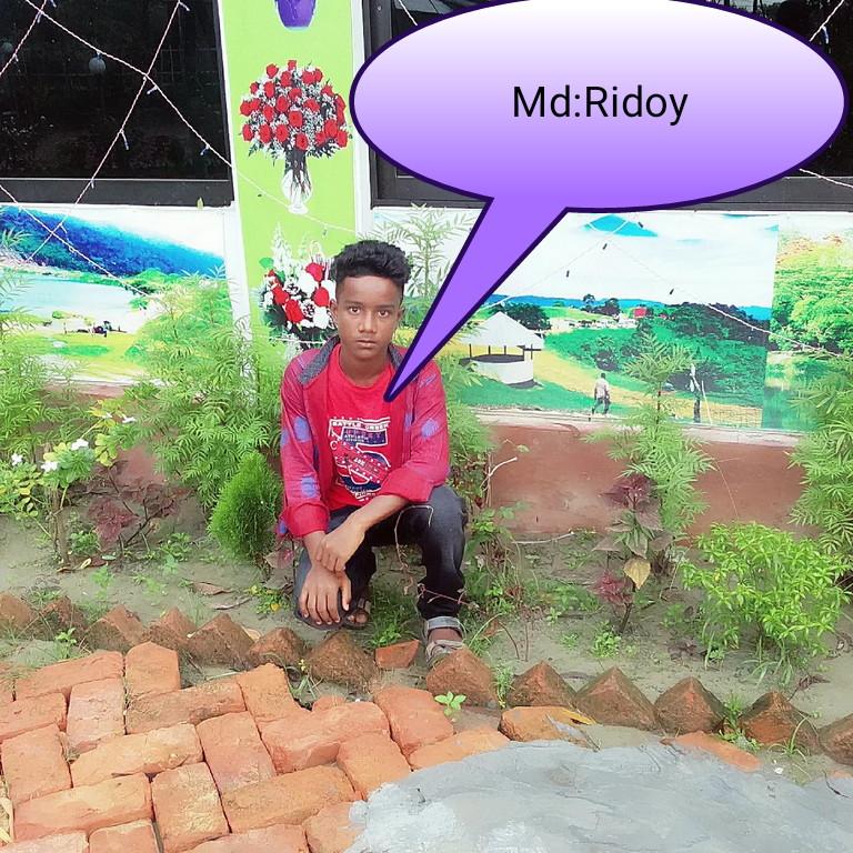 Md Ridoy Krrg