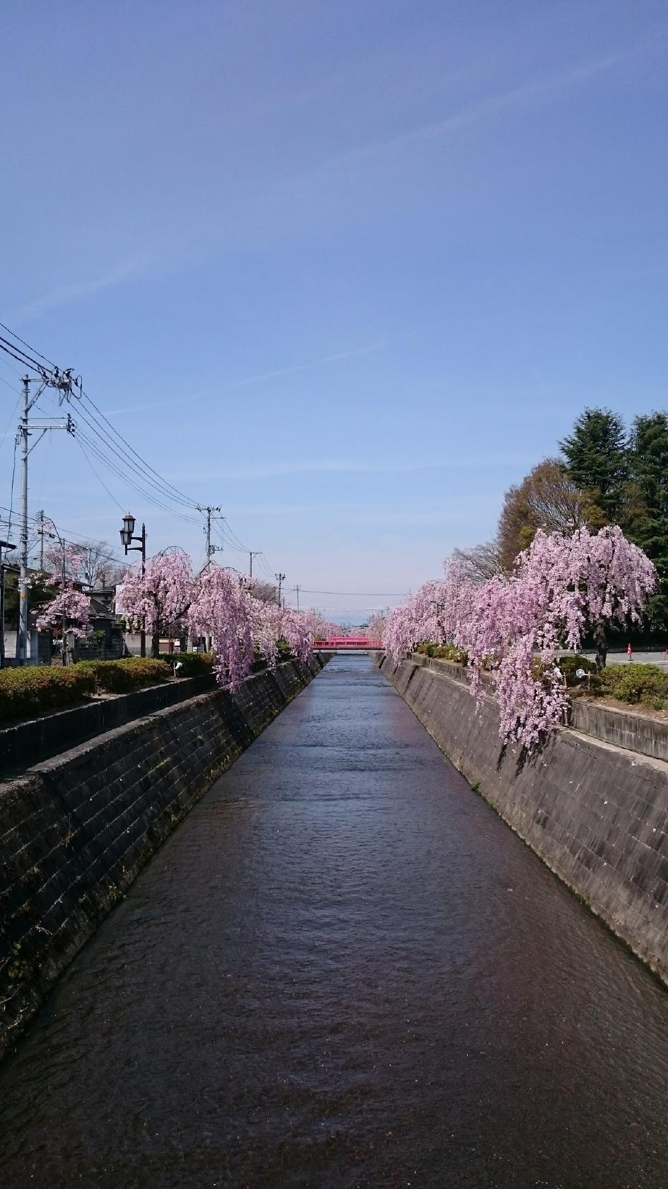 ニュークラブ伽羅