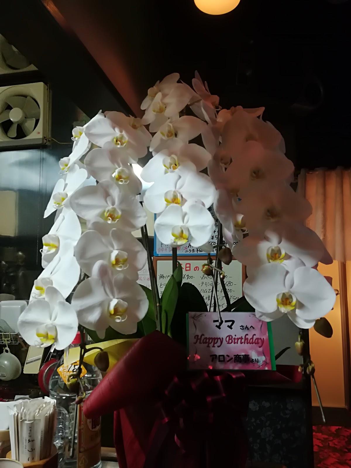 ようこ