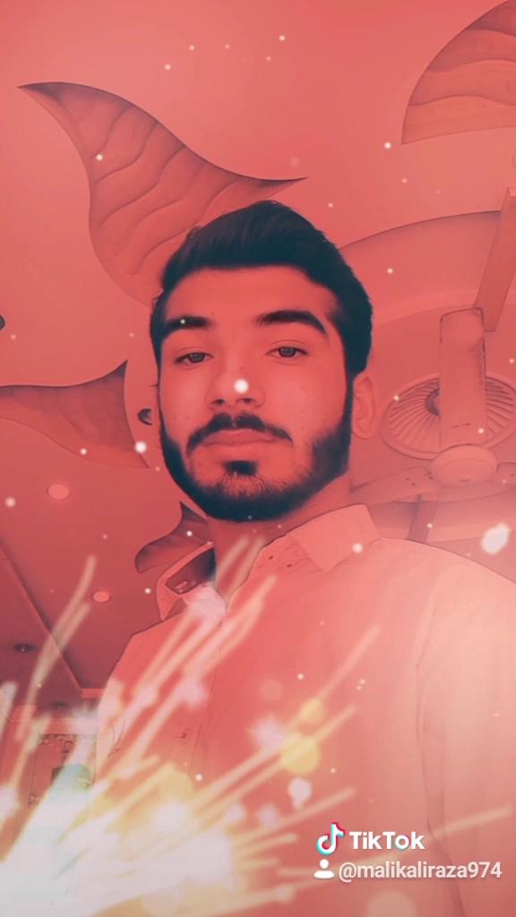 Nonar SFC sardari fried chicks