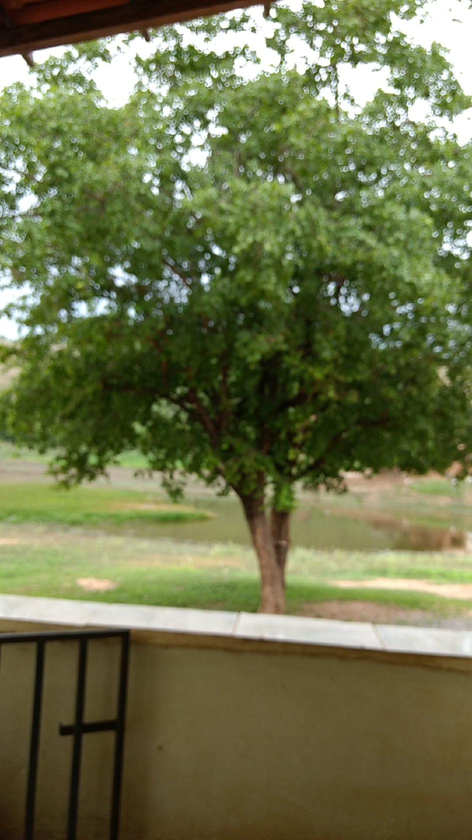 Churrascaria Carrancudus