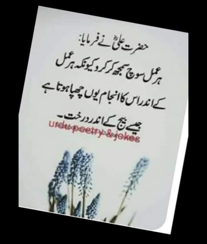 Zaib Food