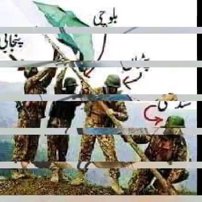 ملک رفیی تمباکو شاپ