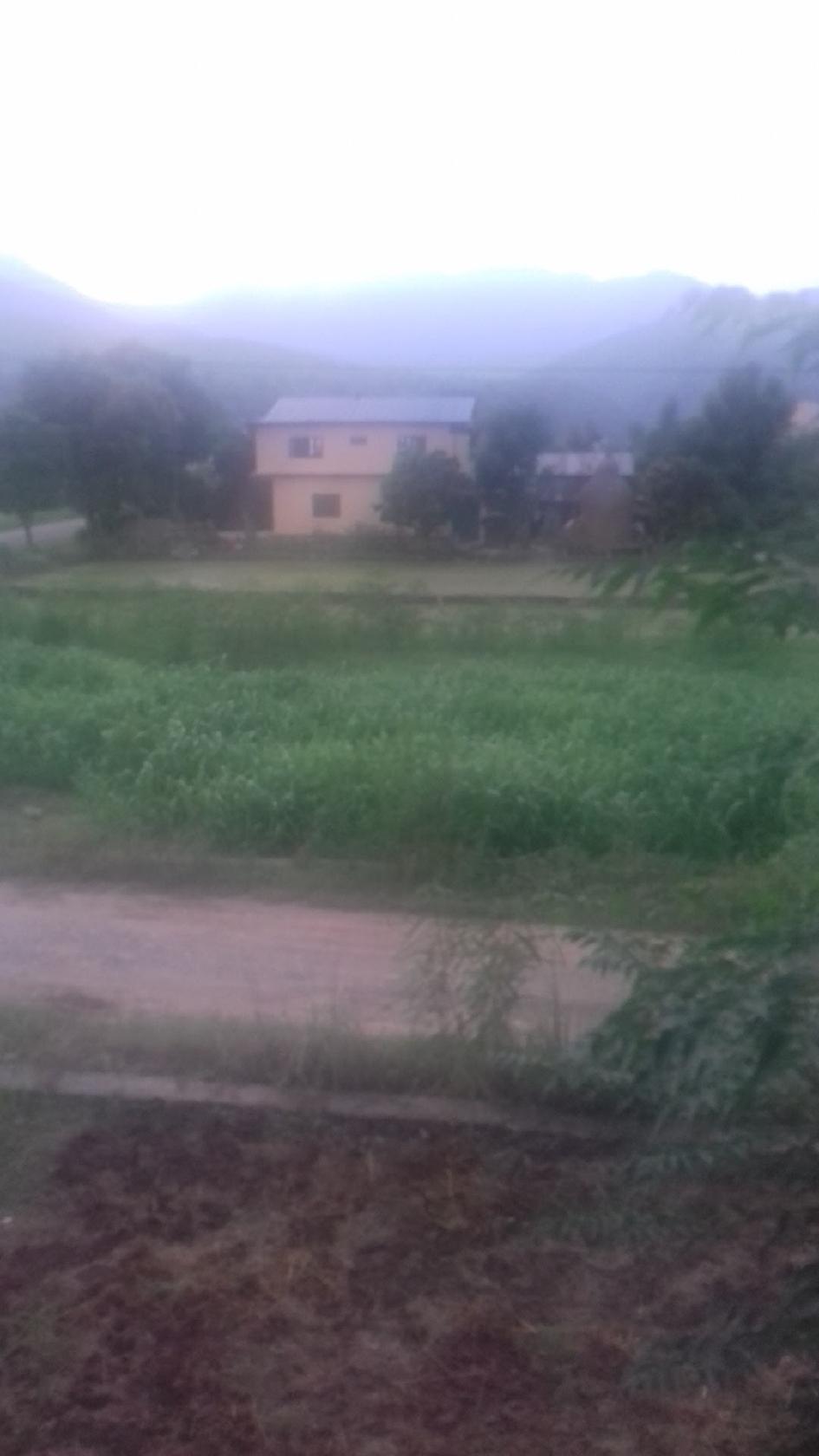 Goma poudel
