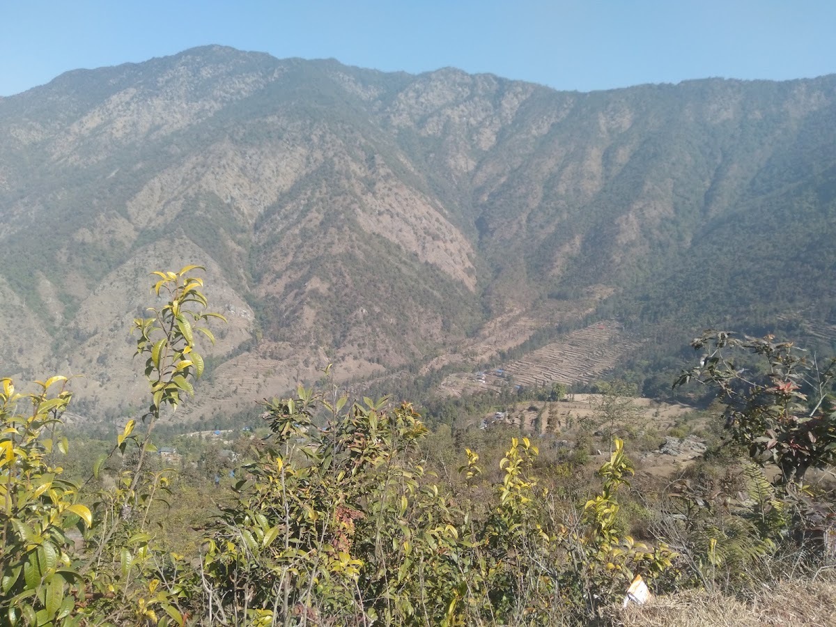 Didi Bahini Khaja Ghar