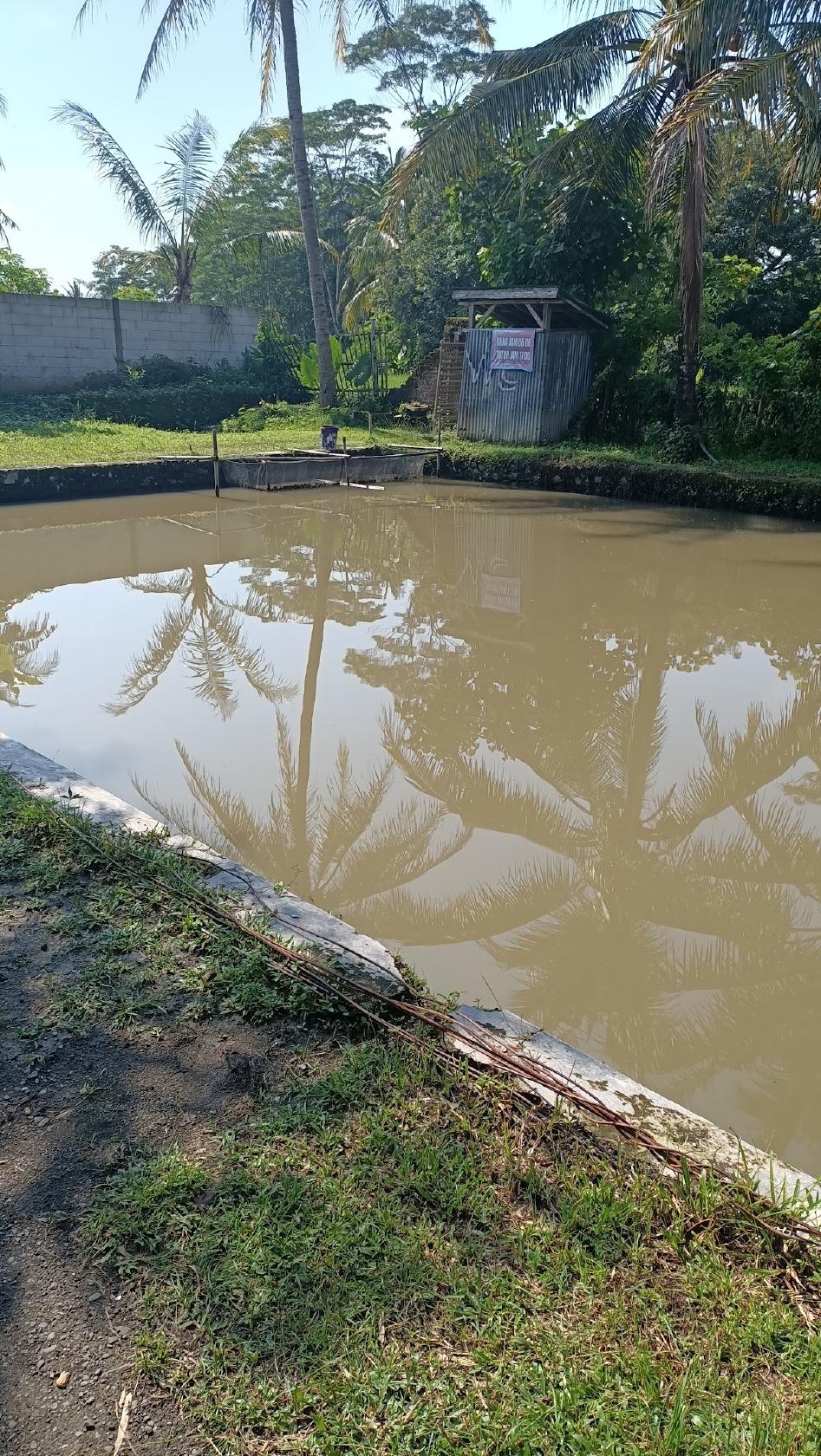 PEMANCINGAN KALILANGKAP