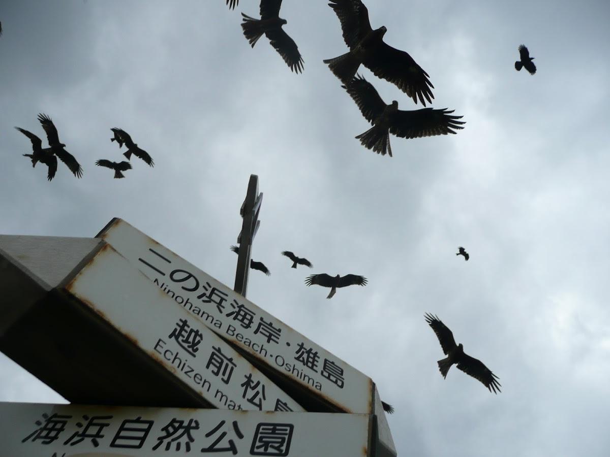 米田漁業水産部