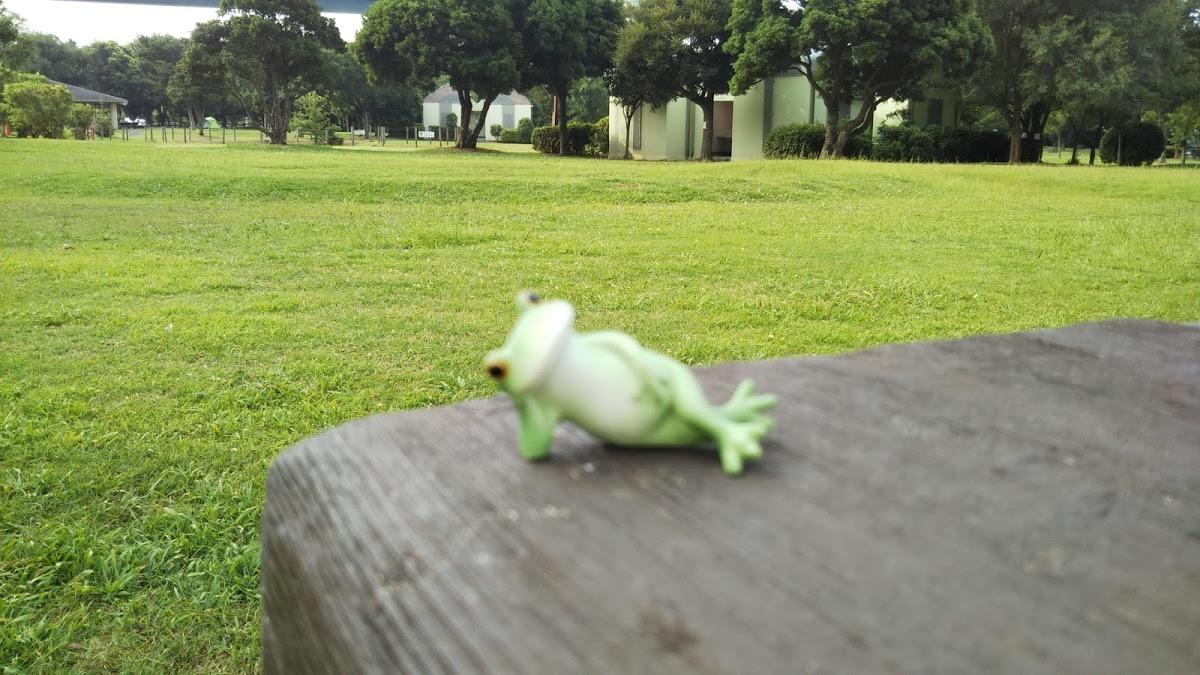 ティーラウンジイシカワ