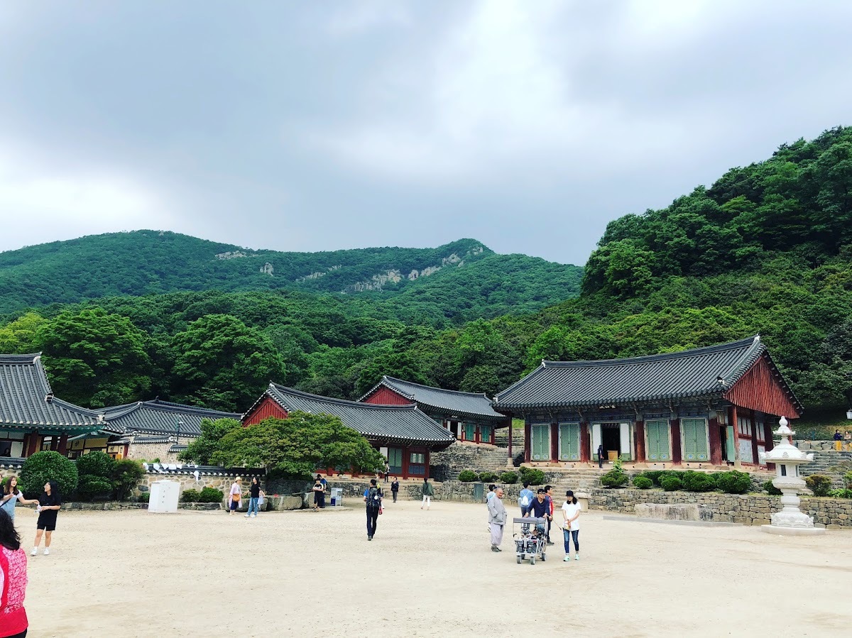 선다원