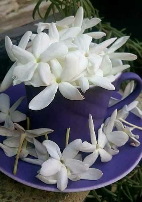 مثلجات العسل