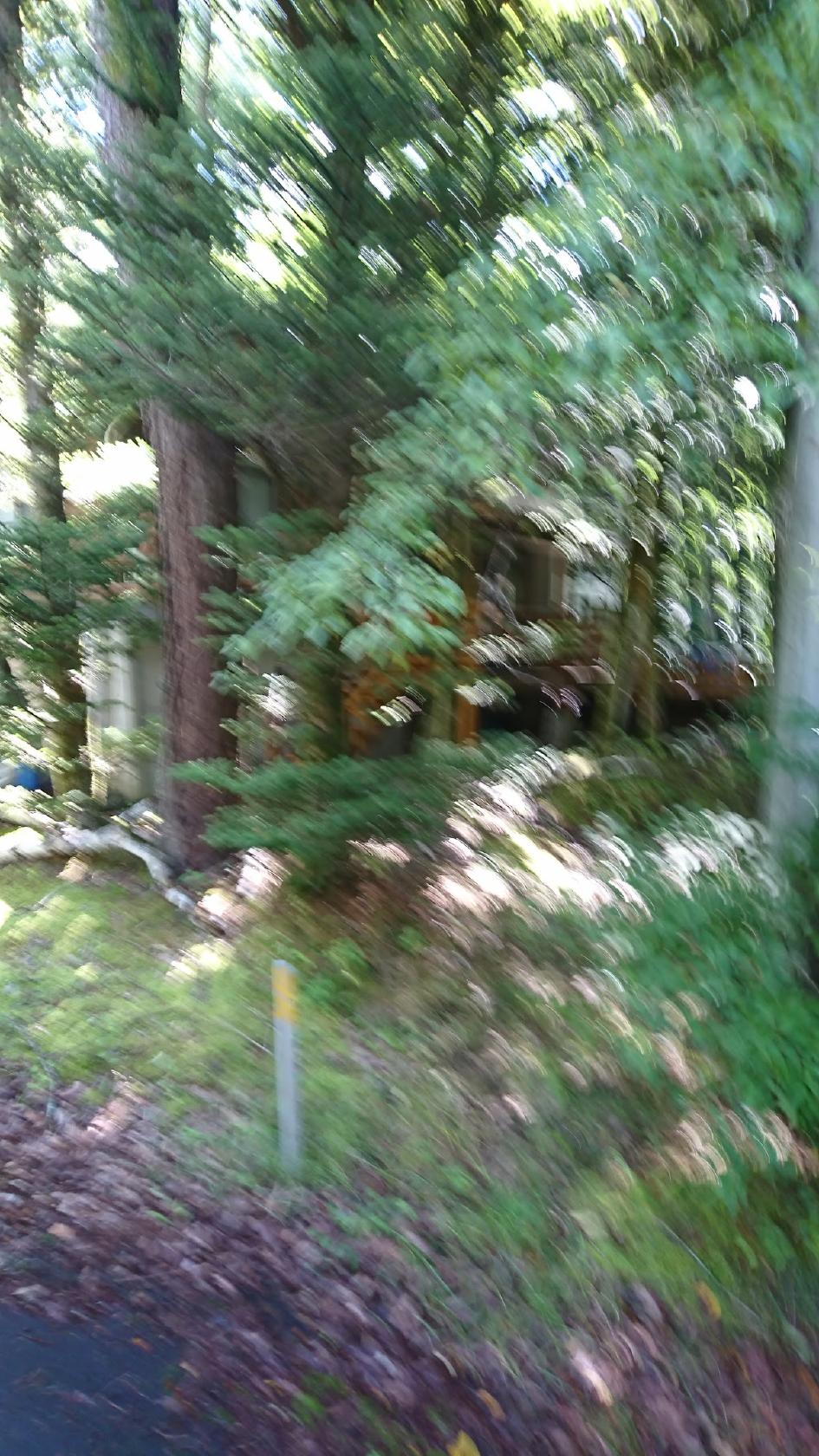 ジョミーズバー