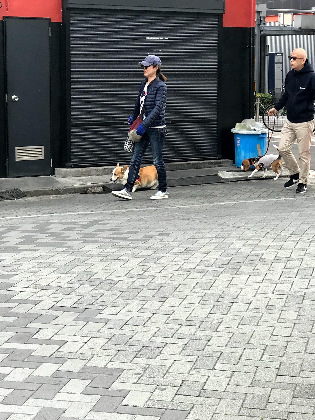 淺草居洒ㄔ行