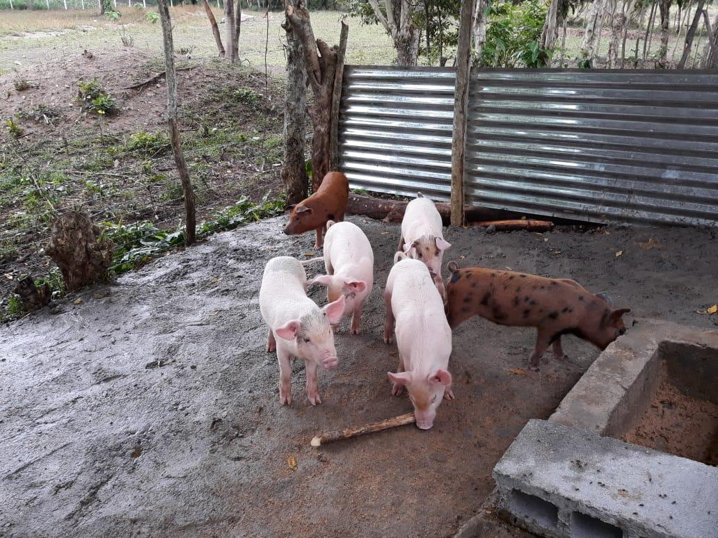Rancho El Edén