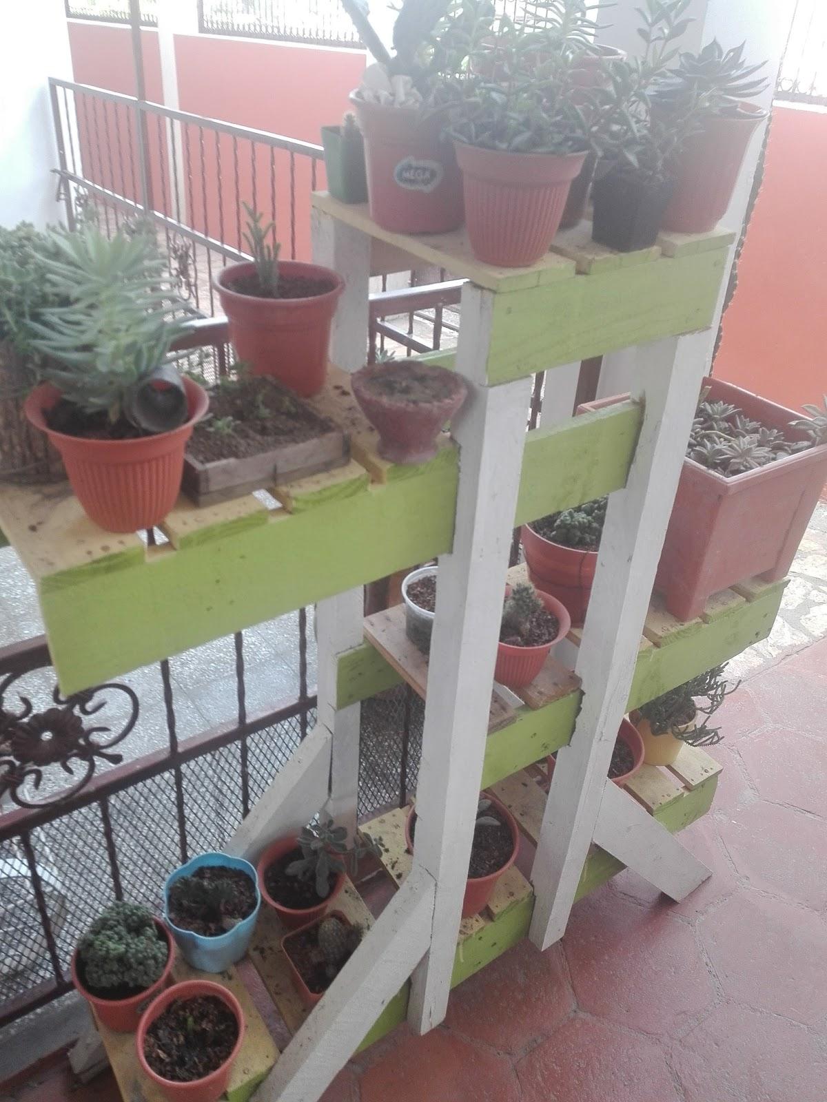 Coffe Guacamaya