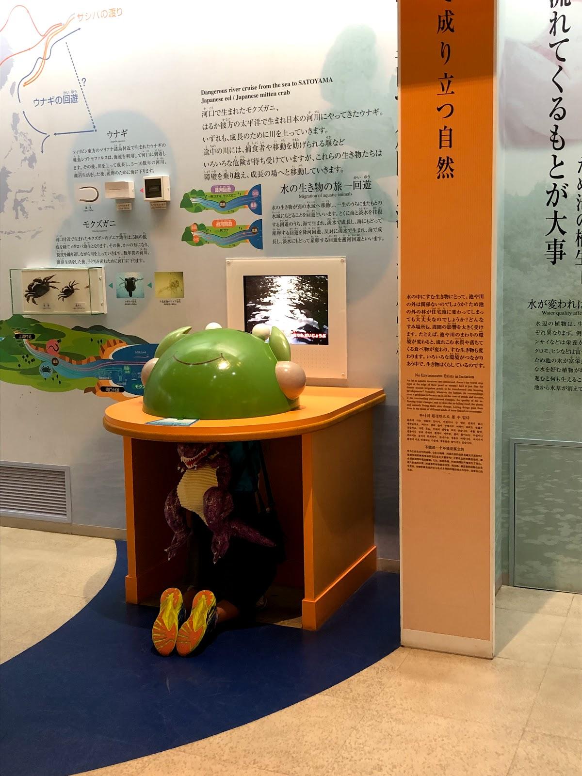 メルヘン