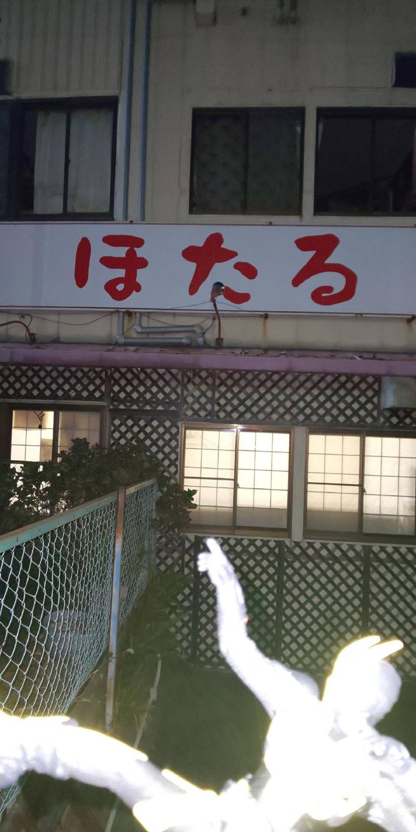 居酒屋ほたる