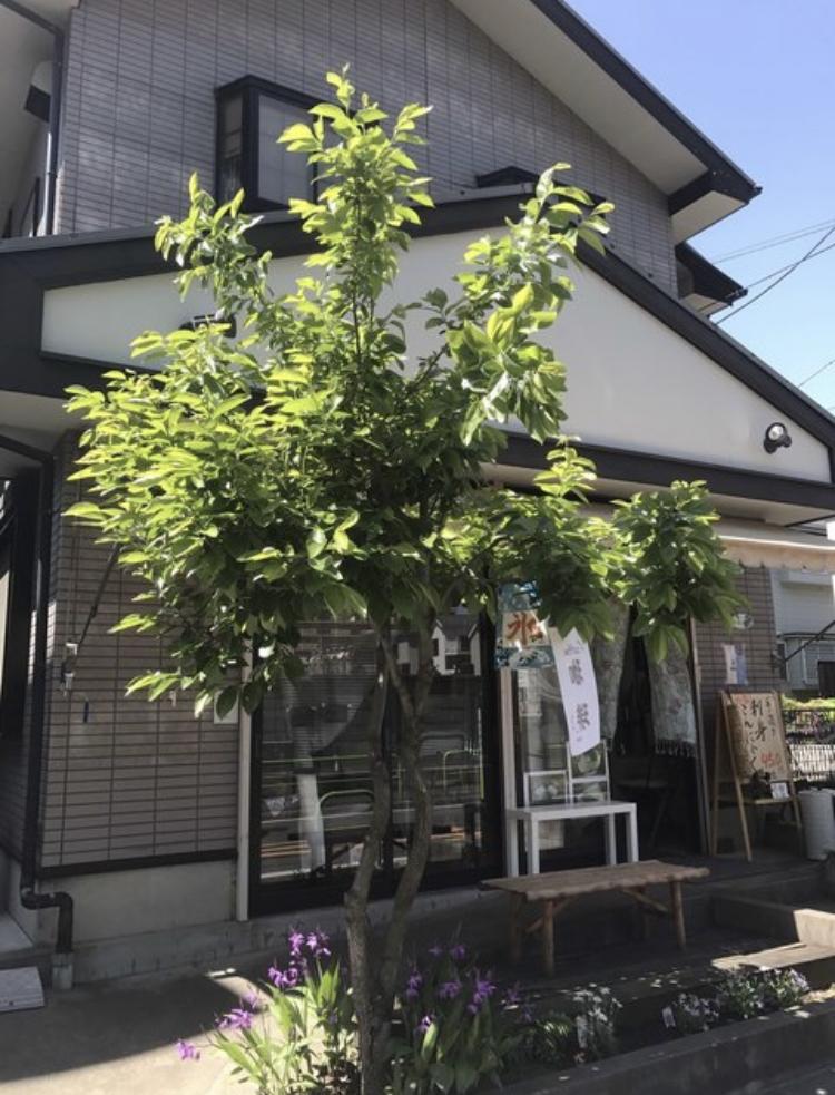 ゆらり