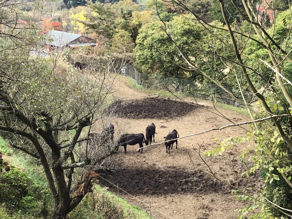 九重まえだ苑