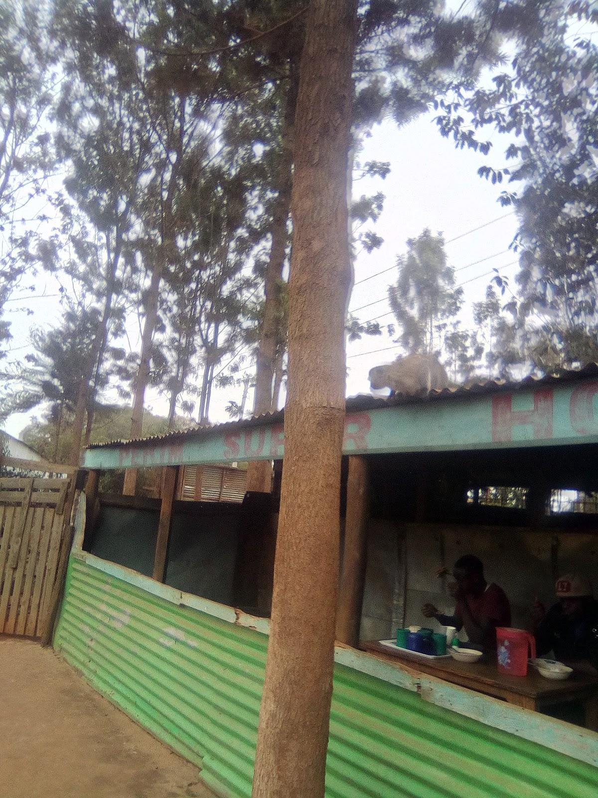 Pekim Bar and Restraunt