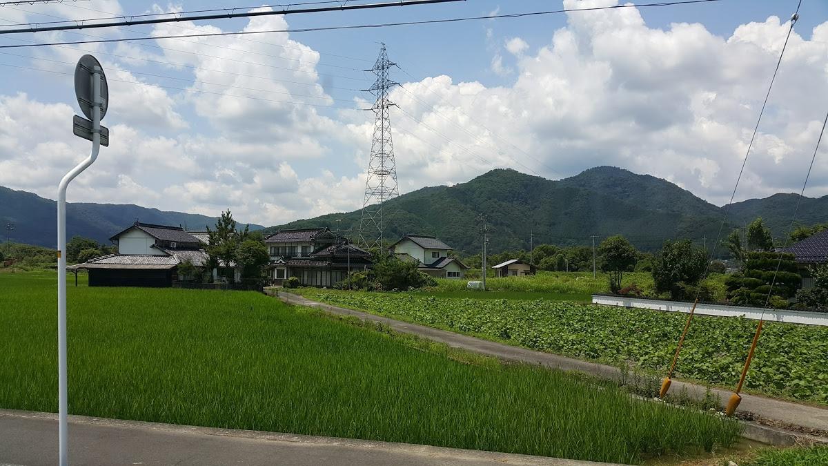 パンダ