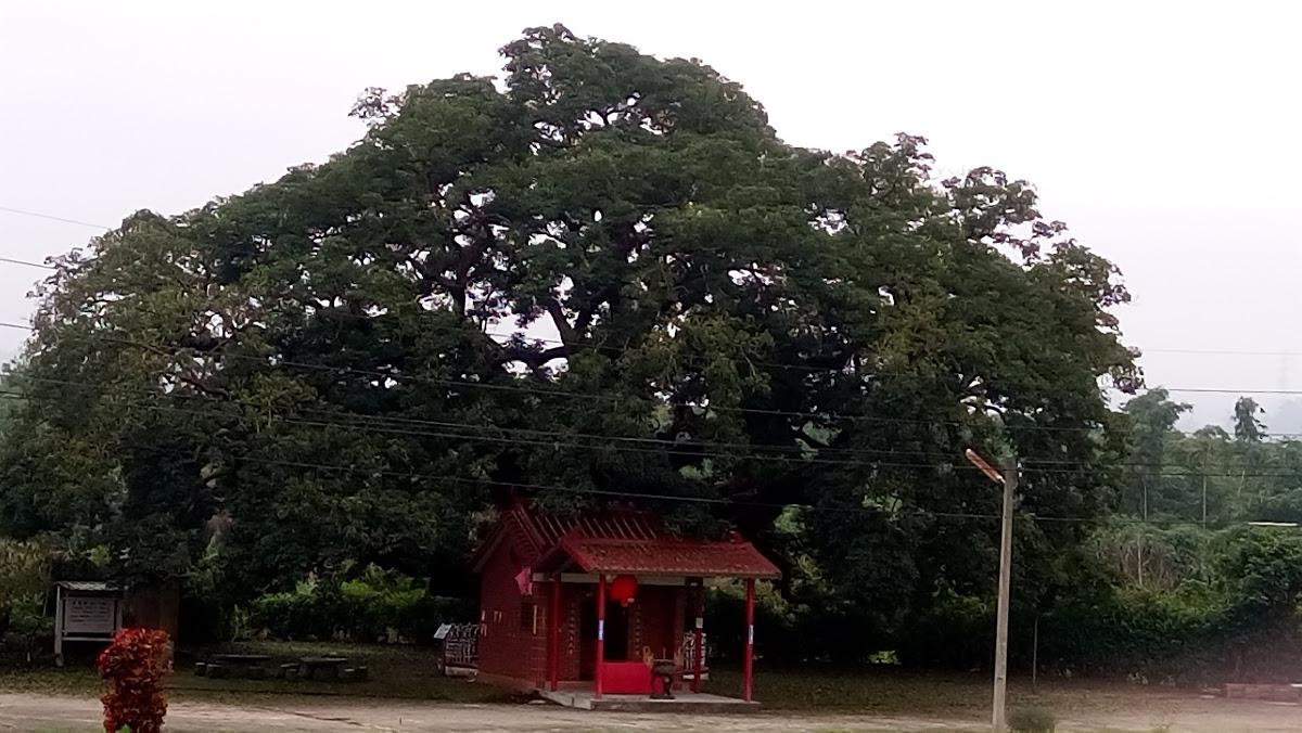 元大農產行
