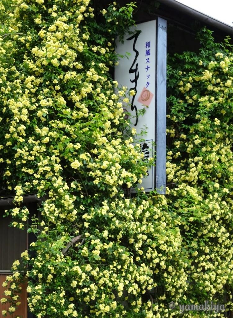 和風スナックてまり