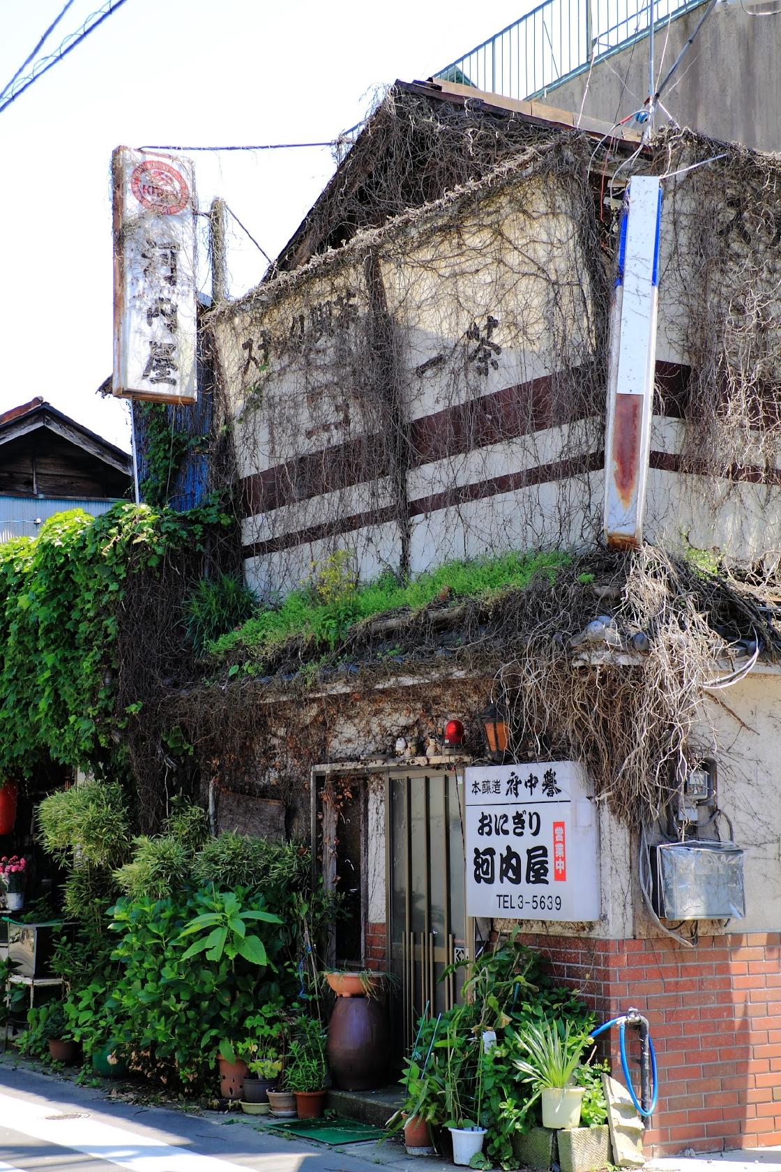 河内屋