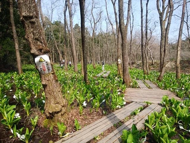 居酒屋羽飛