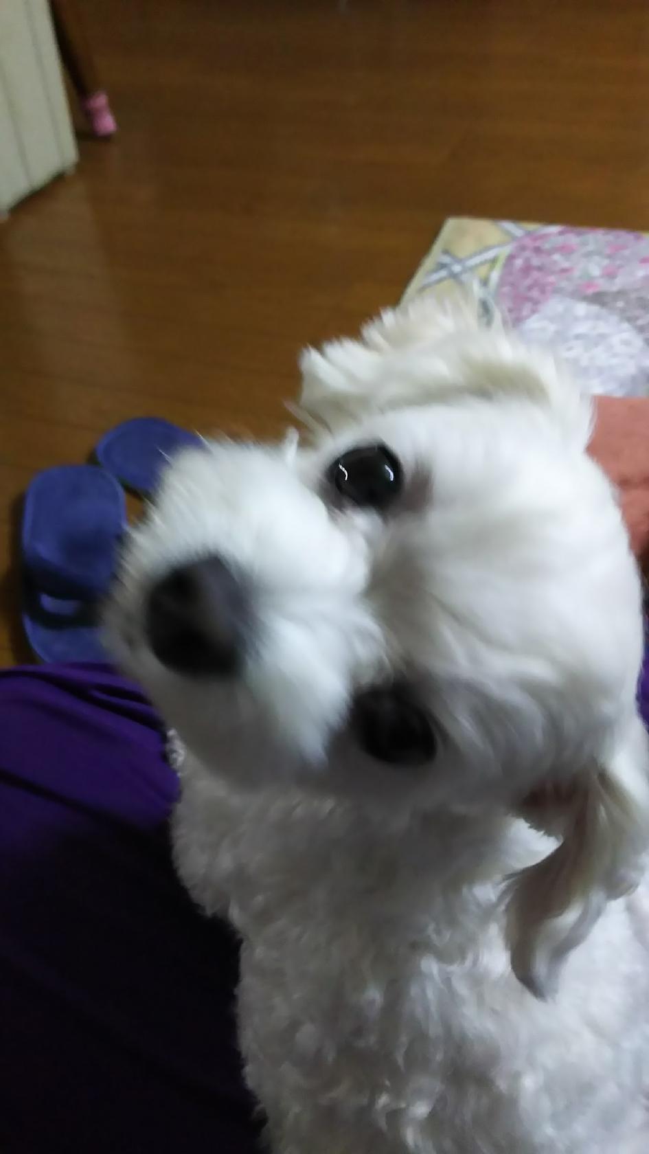 妙
