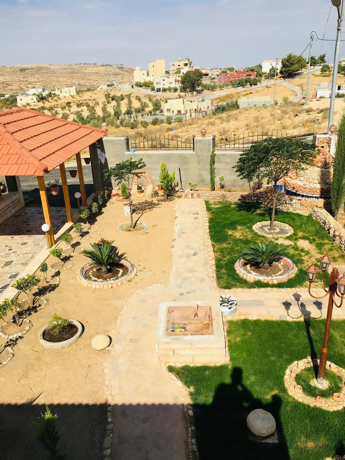 النمس
